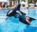 How to Care for and Store Your Pool Equipment