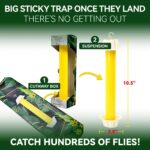 Yellow Sticky Fly Trap - Hình 2