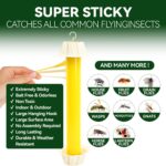 Yellow Sticky Fly Trap - Hình 3