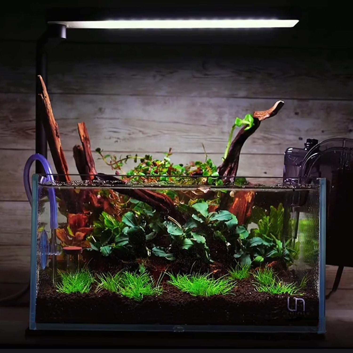 Natural Aquarium Driftwood - Hình 5