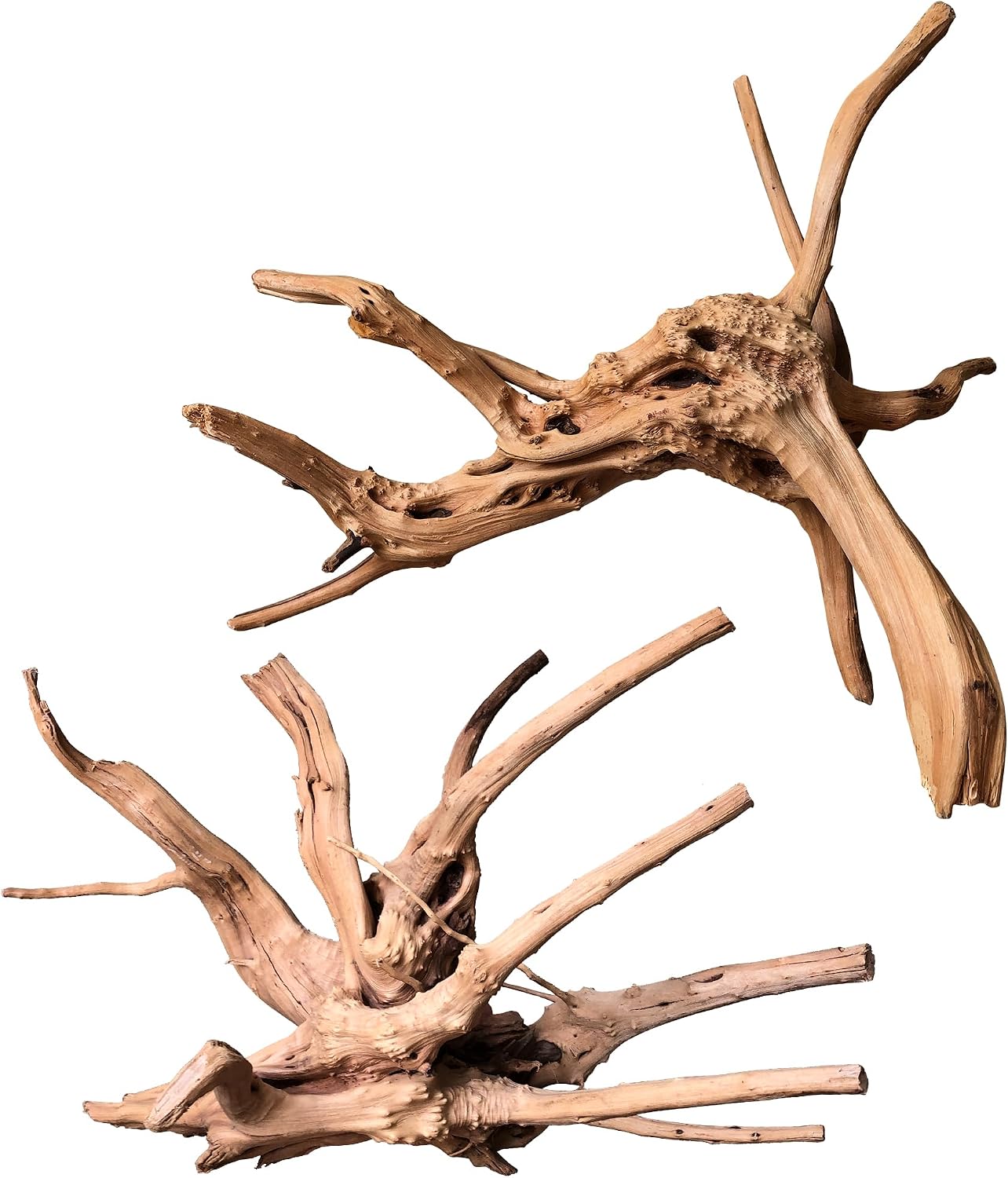 Natural Aquarium Driftwood - Hình 15