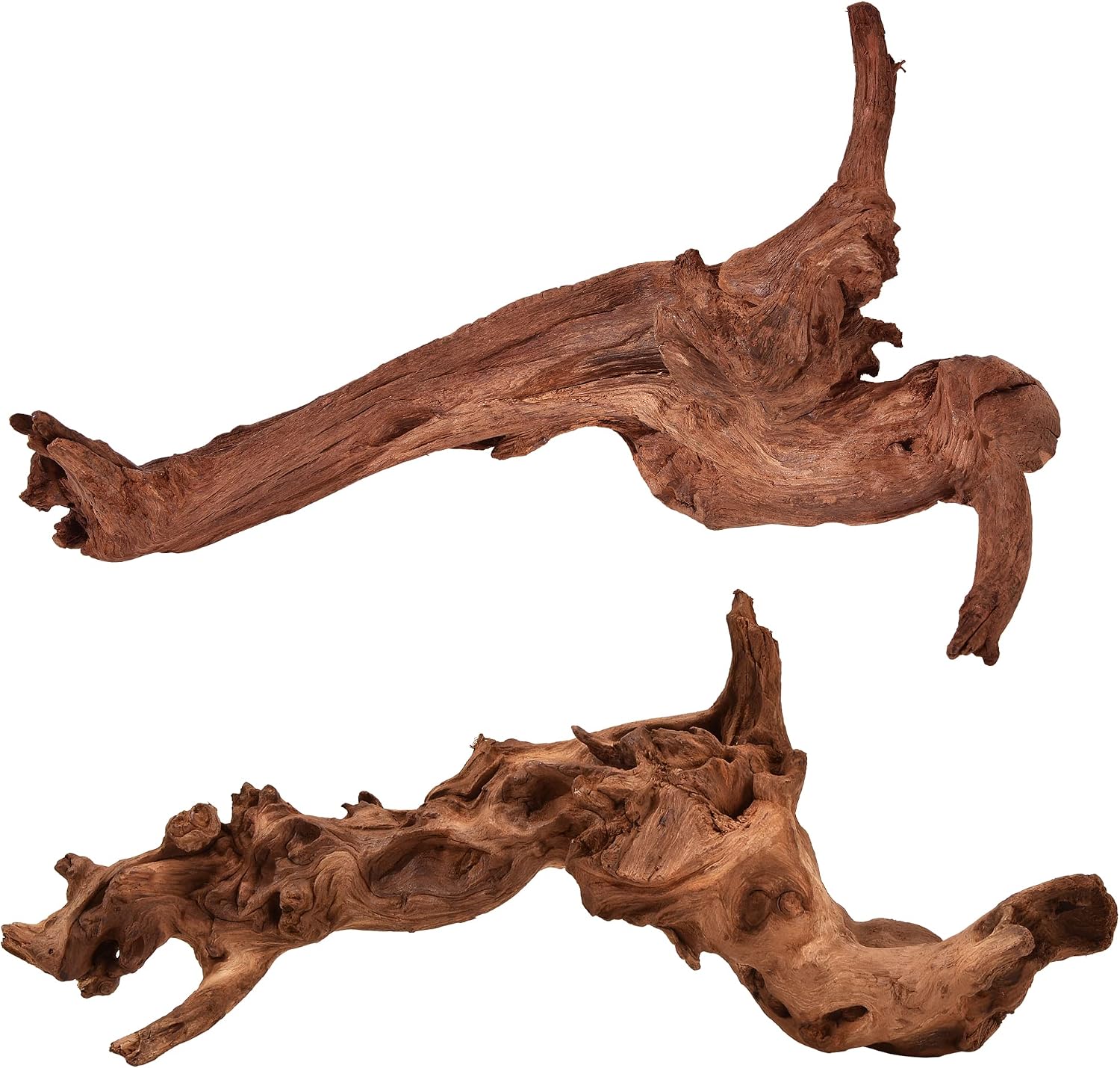 Natural Aquarium Driftwood - Hình 16