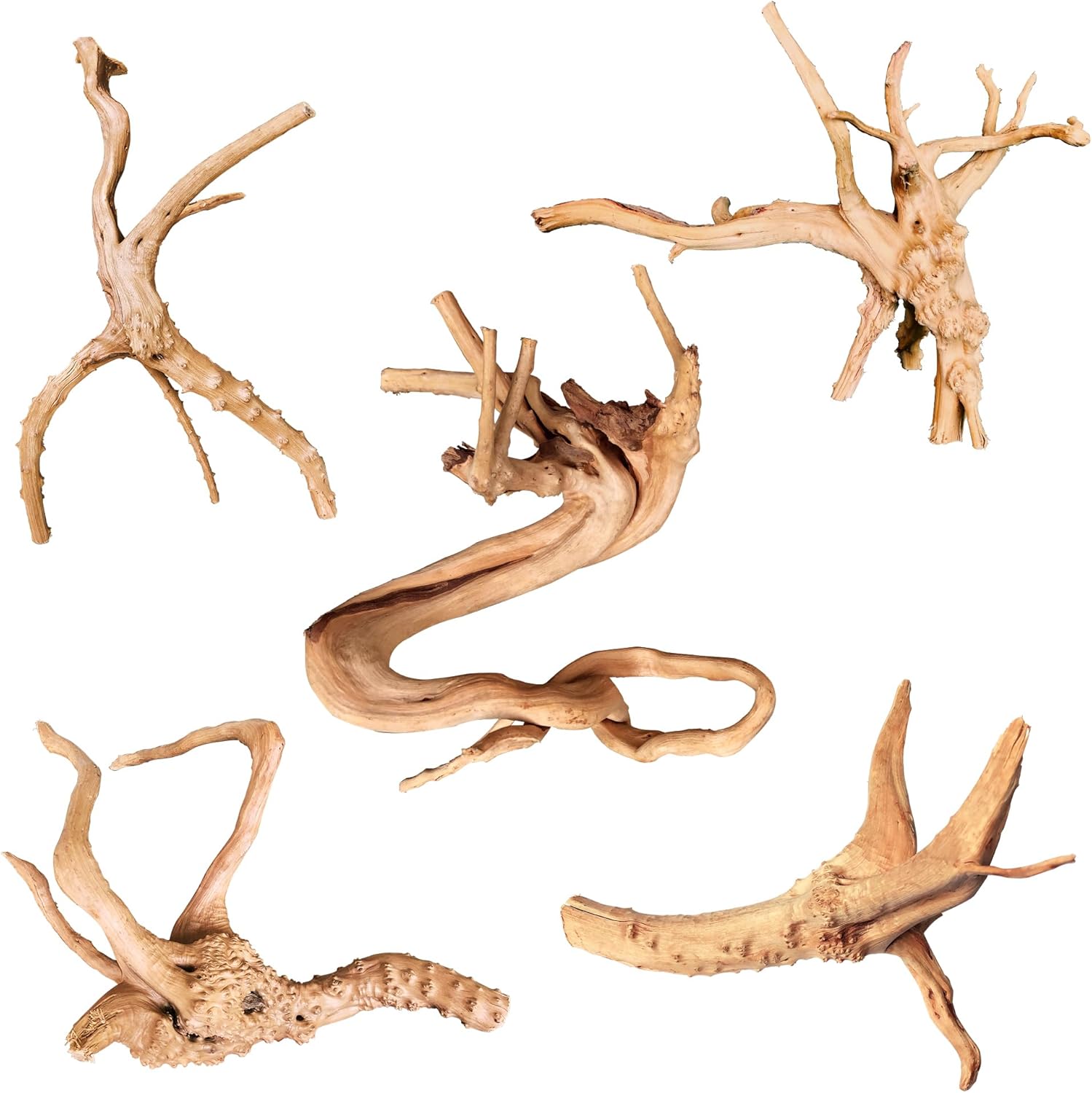 Natural Aquarium Driftwood - Hình 12