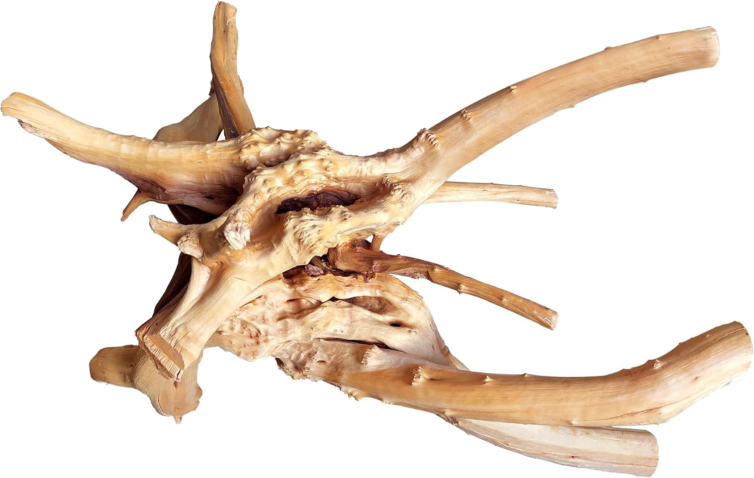 Natural Aquarium Driftwood - Hình 13