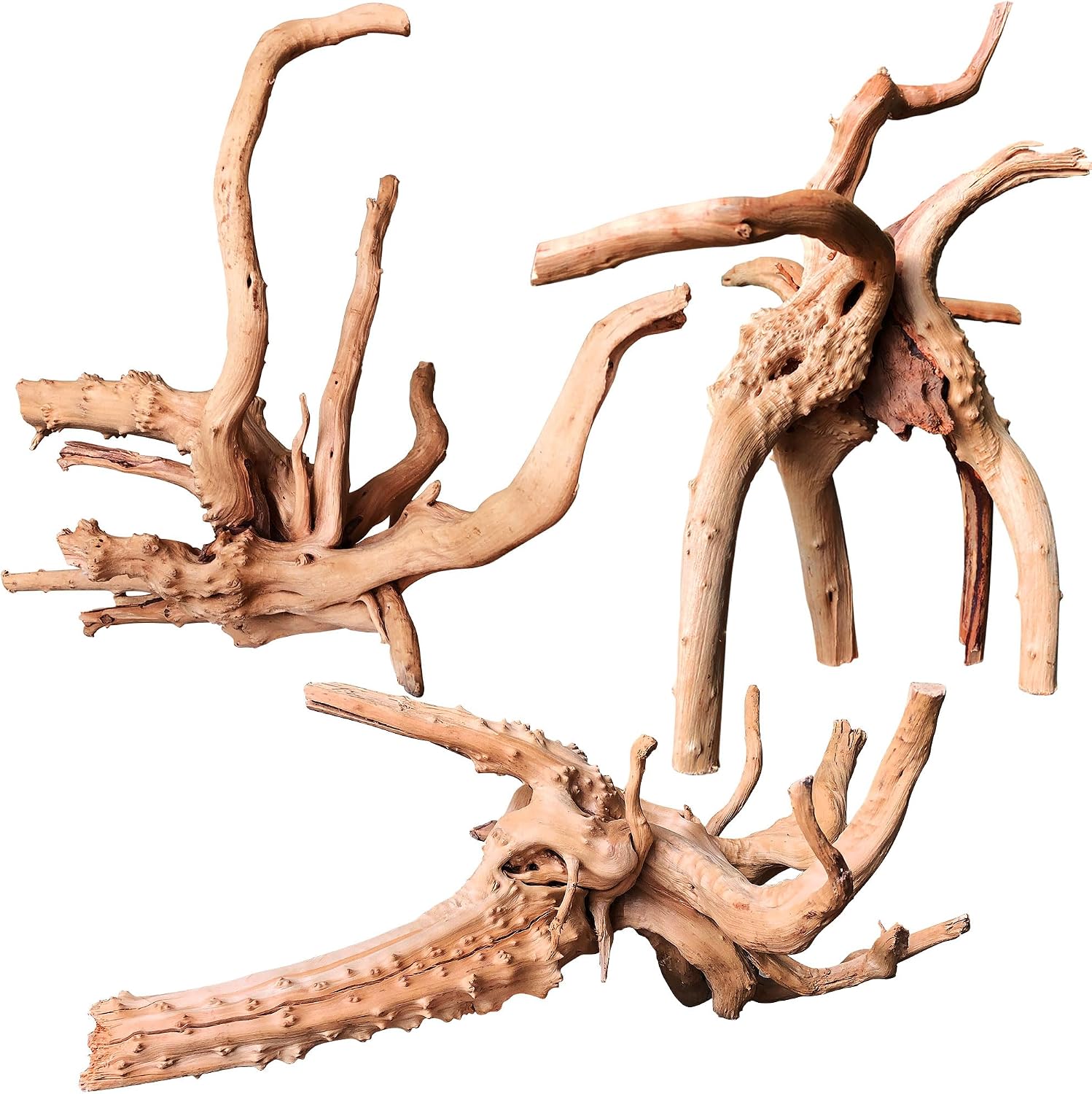 Natural Aquarium Driftwood - Hình 11
