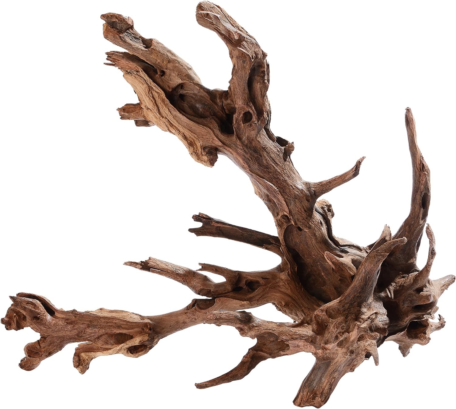 Natural Aquarium Driftwood - Hình 9