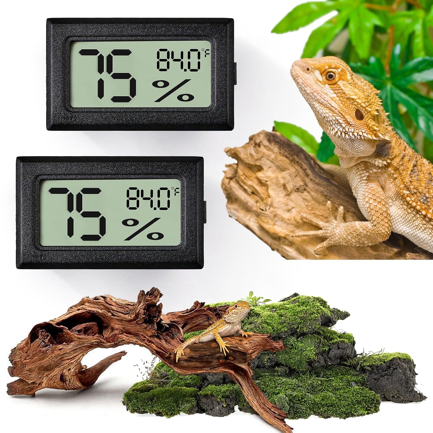 lcd Digital Terrarium Thermometer Hygrometer