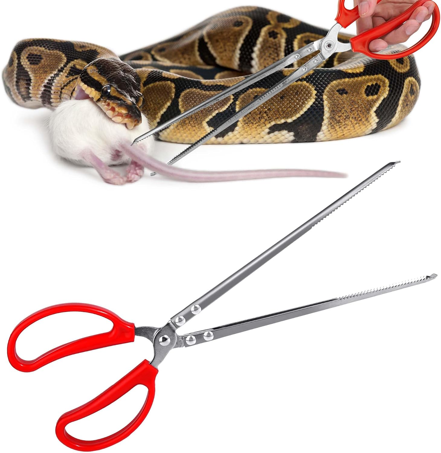 Stainless Steel Feeding Tongs – Long with Red Anti-Slip Handles