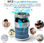 H13 HEPA Air Purifier - image 3