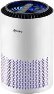 H13 HEPA Air Purifier