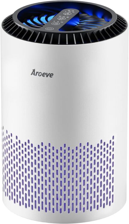 H13 HEPA Air Purifier