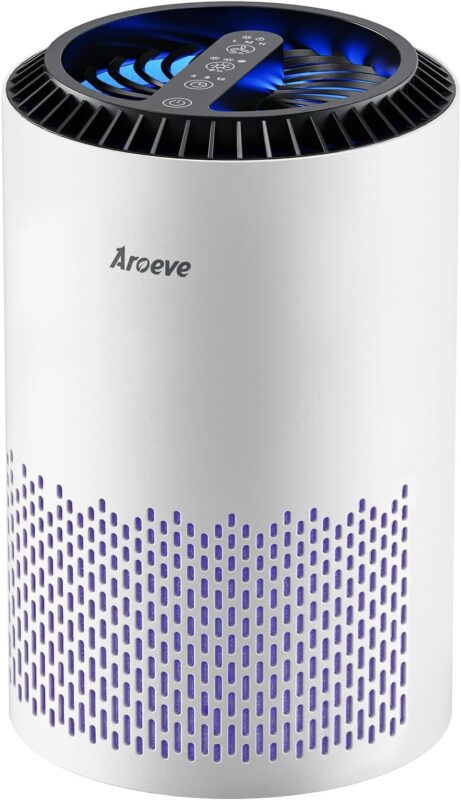 H13 HEPA Air Purifier