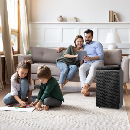 True HEPA Air Purifier - image 2