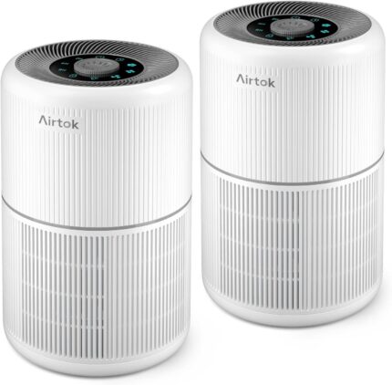 H13 HEPA Air Purifier
