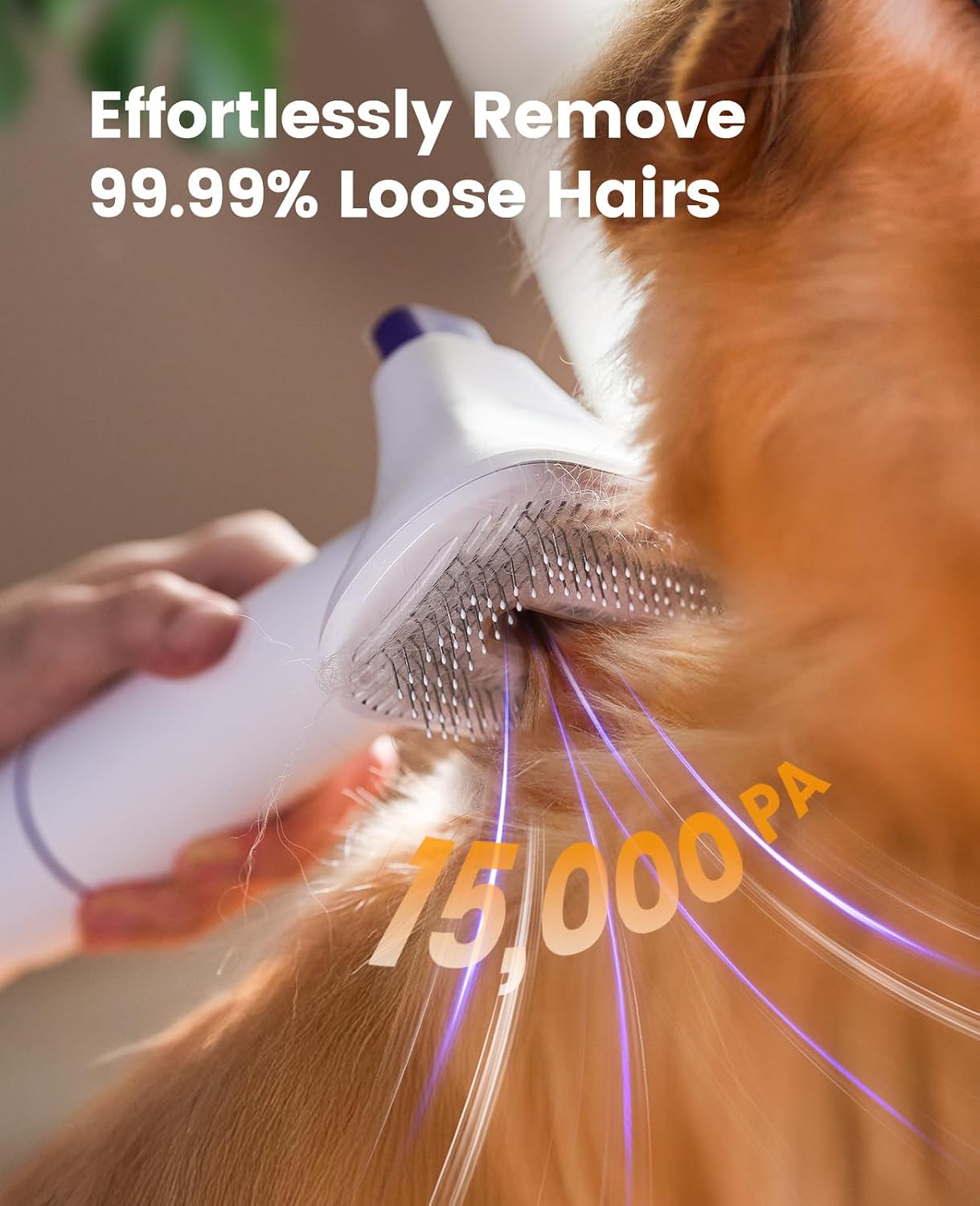 oneisall Dog Hair Vacuum Shedding Grooming Brush Kits for Pet Thick Coats | 15000Pa,3 Suction Low Noise,1.5L Dust Cup,5 in 1 Kits(Grooming/Deshedding/Cleaning Brush,Remover Roller,Crevice Tool), LM5 - Image 3