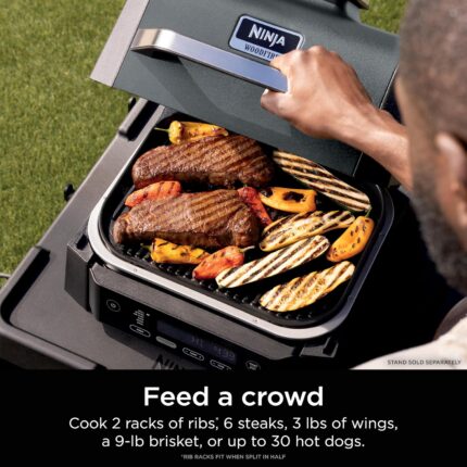 Woodfire Air Fry Smoker