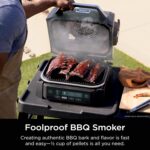 Woodfire Air Fry Smoker