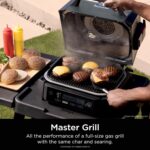Woodfire Air Fry Smoker