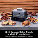 Woodfire Air Fry Smoker