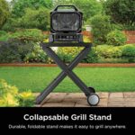Woodfire Air Fry Smoker