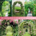 Adjustable Black Galvanized Steel Garden Arch