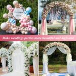 Adjustable Black Galvanized Steel Garden Arch