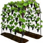 Robust Green Metal Garden Arch Trellis