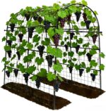 Robust Green Metal Garden Arch Trellis