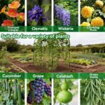 Robust Green Metal Garden Arch Trellis