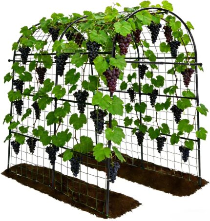 Robust Green Metal Garden Arch Trellis