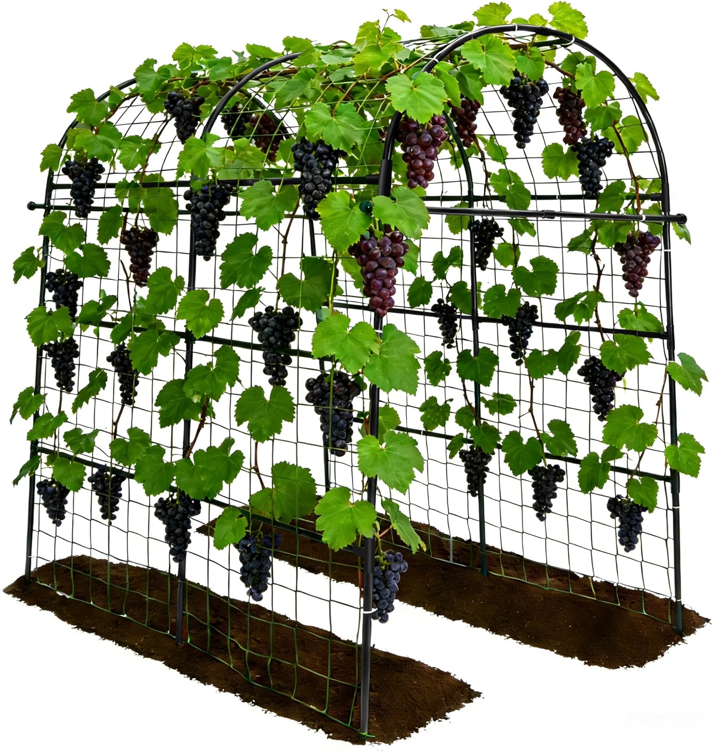 Large Garden Trellis Robust Green Metal Garden Arch Trellis