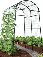 Sturdy Black Metal Arch Trellis