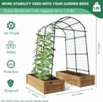 Sturdy Black Metal Arch Trellis