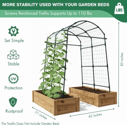Sturdy Black Metal Arch Trellis