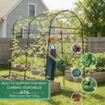 Sturdy Black Metal Arch Trellis