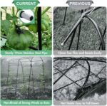 Sturdy Black Metal Arch Trellis