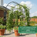 Sturdy Black Metal Arch Trellis