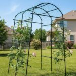Sturdy Black Metal Arch Trellis