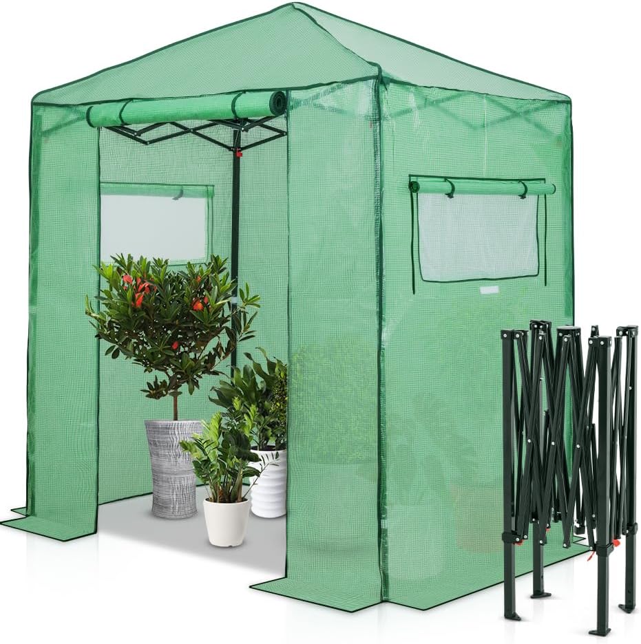 Portable Green Walk-In Greenhouse for Outdoor Plant Protection