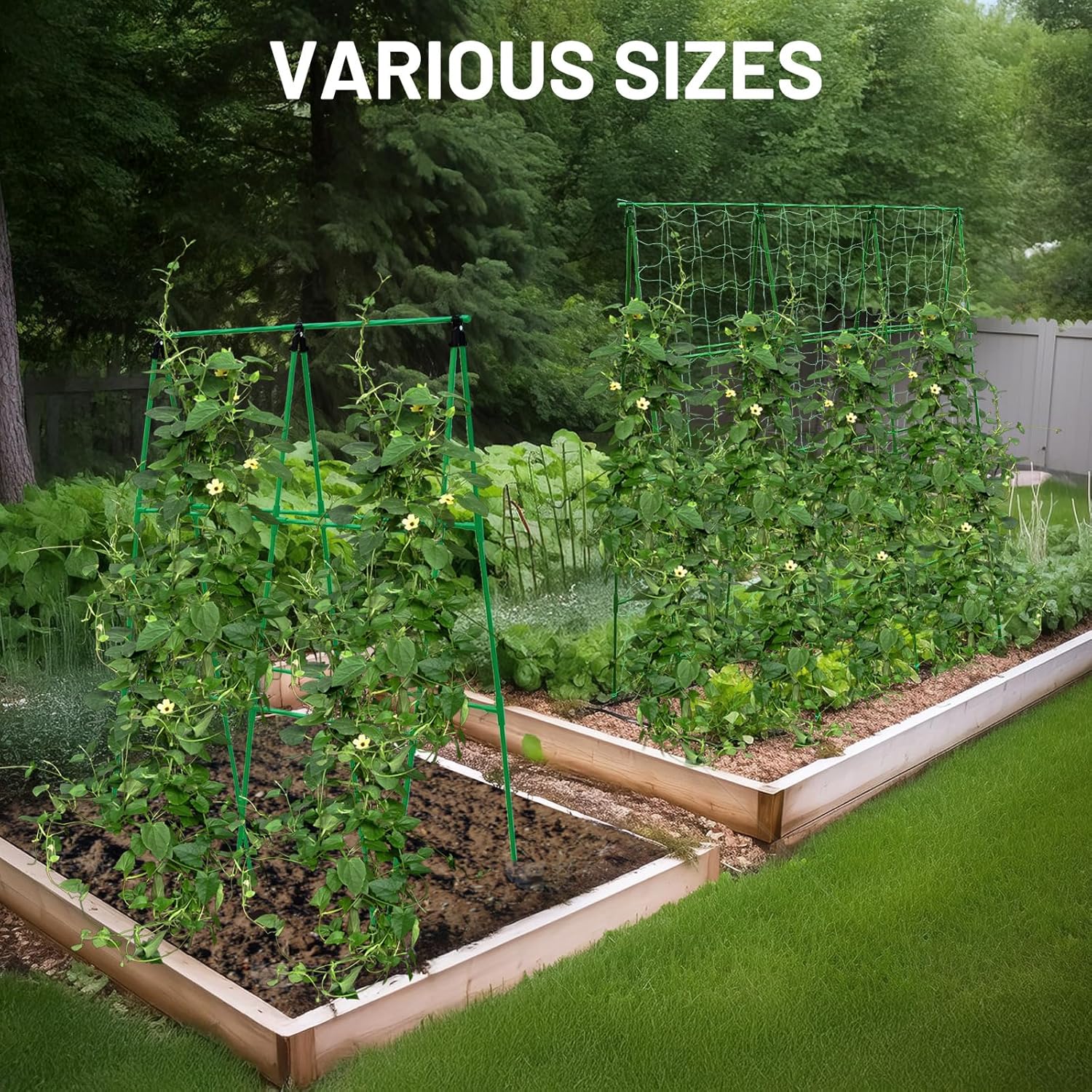 Adjustable A-Frame Garden Trellis