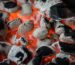 How to Clean and Maintain Your Charcoal Grill