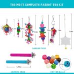 Vibrant Bird Enrichment Toy Set – 23 Pack for Parrots & Parakeets — view 5