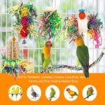Vibrant Shredder Bird Toys with Loofah & Rattan Balls — view 5