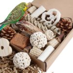 Assorted Natural Bird Chewing Toys for Small to Medium Parrots
