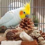 Assorted Natural Bird Chewing Toys for Small to Medium Parrots — view 4