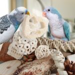 Assorted Natural Bird Chewing Toys for Small to Medium Parrots — view 7