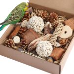 Assorted Natural Bird Chewing Toys for Small to Medium Parrots — view 8
