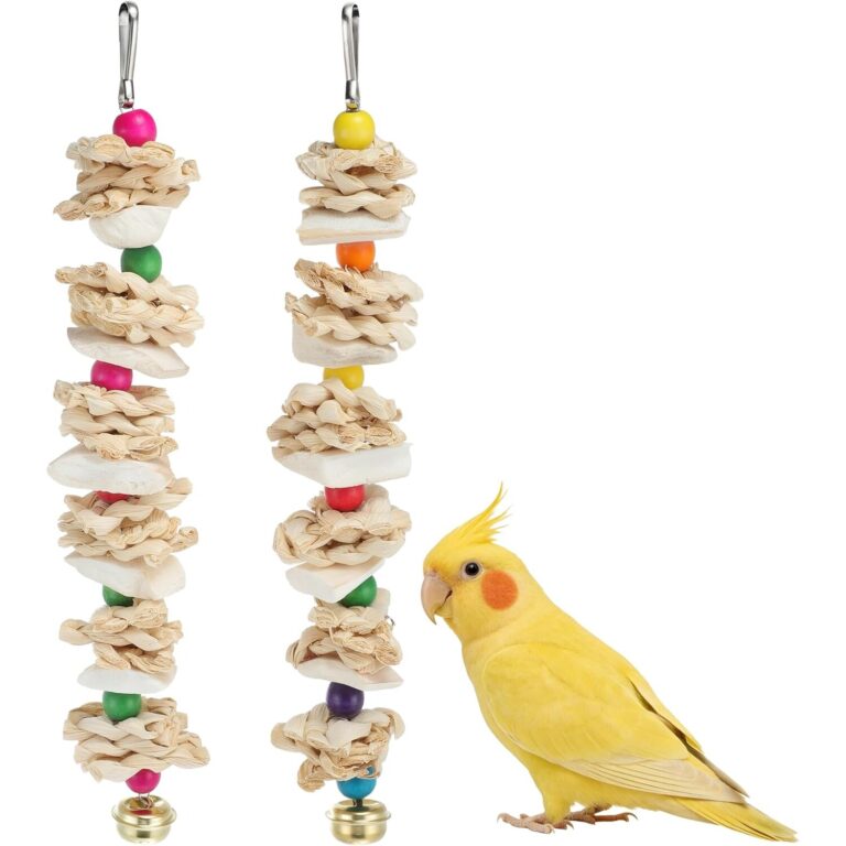 Corn Husk Cuttlebone Chewing Bird Toy - Corn Husk & Cuttlebone Chewing