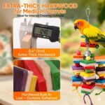 Colorful Hardwood Parrot Chew Toy with Bells for Medium Birds — view 3
