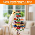 Colorful Hardwood Parrot Chew Toy with Bells for Medium Birds — view 8